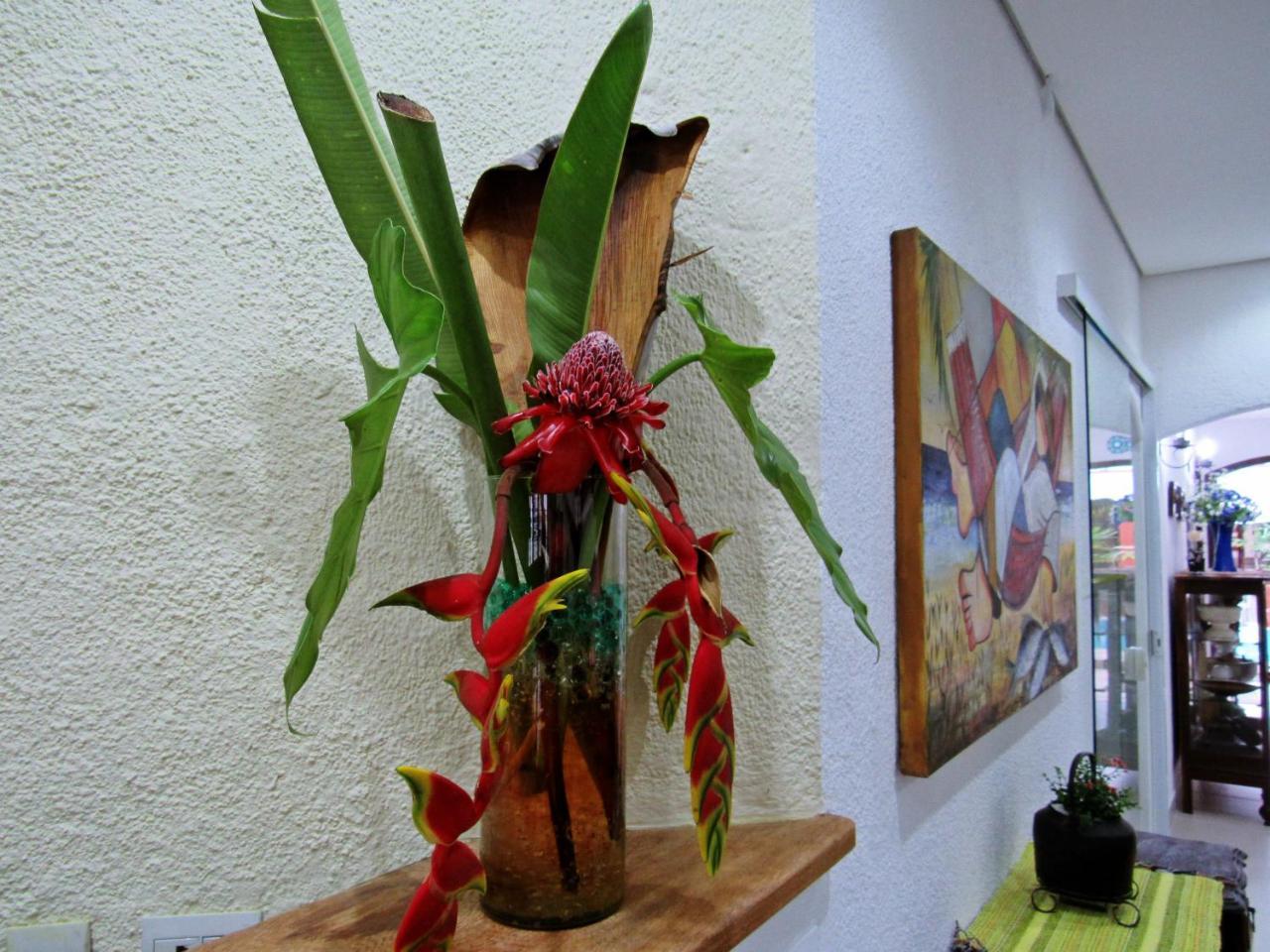 Pousada Do Pinheiro Camburi  Kültér fotó